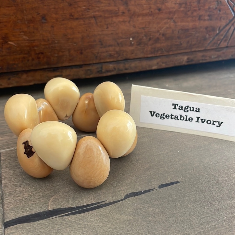 “Tagua” Bracelet 🇪🇨